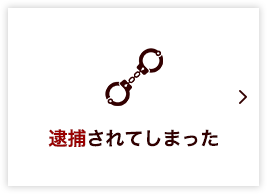 逮捕されてしまった